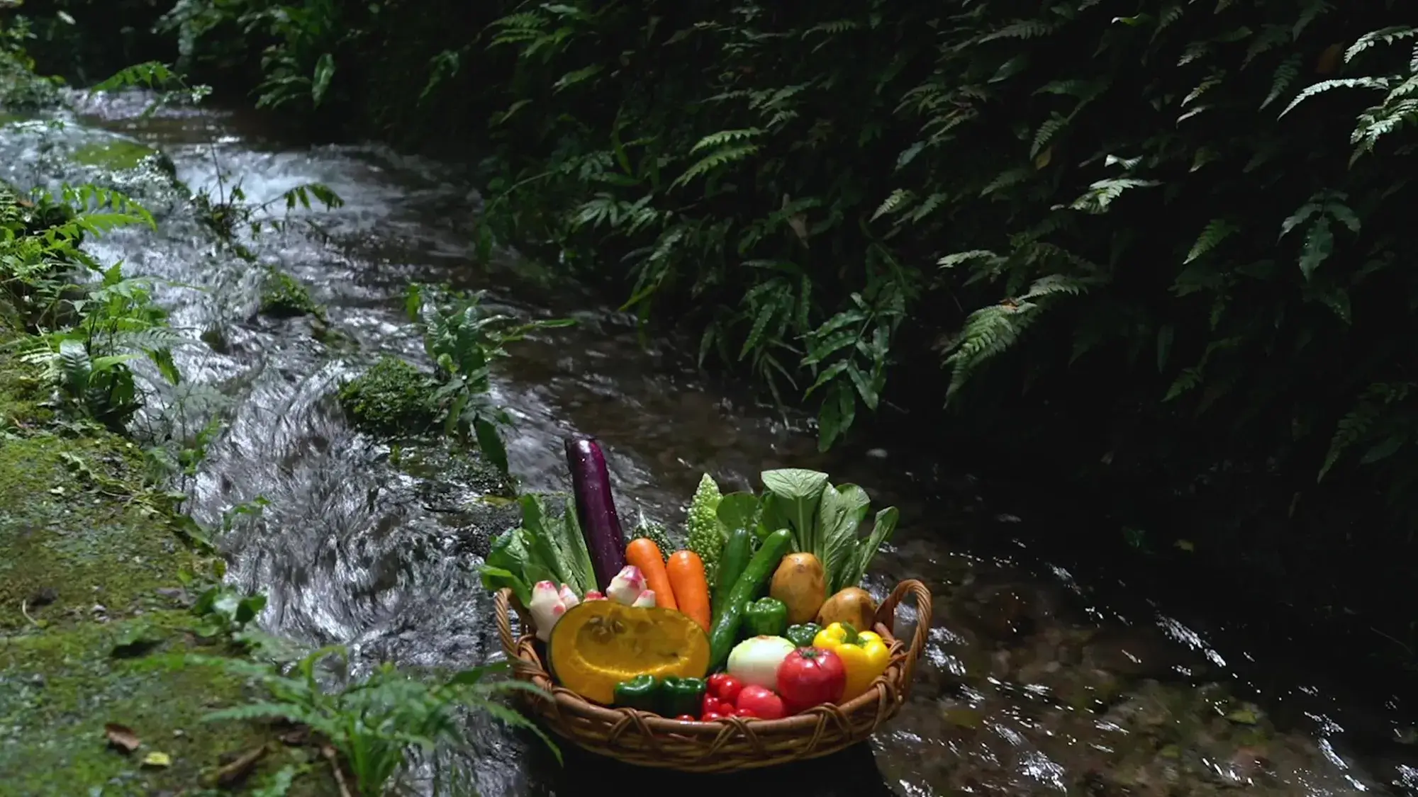 水と、暮らす。